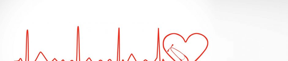 Nuova collaborazione con SVS Livorno