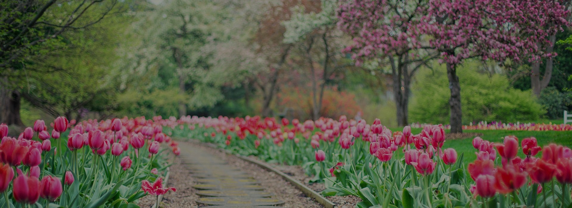 Dott.ssa Marzia Rapé